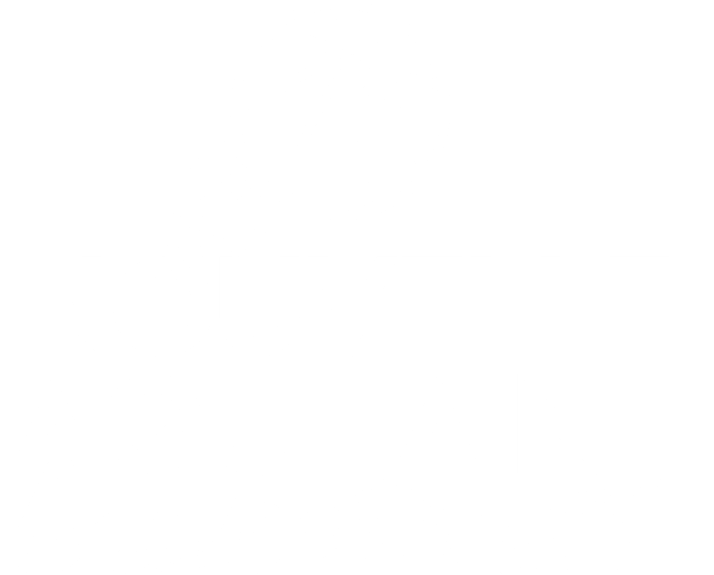 Logo-nouvelle-aquitaine-basketball-blanc